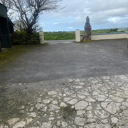 Heathervillefarm In A House Pensionat Blennerville