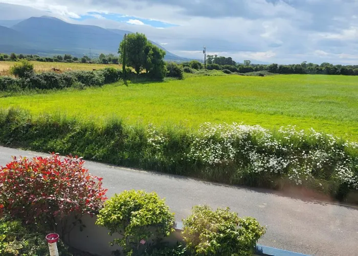 招待所 Heathervillefarm In A House
