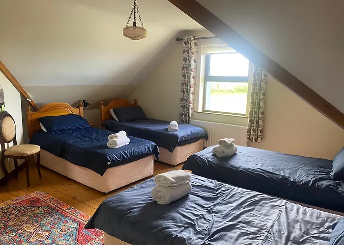招待所 Heathervillefarm In A House Blennerville
